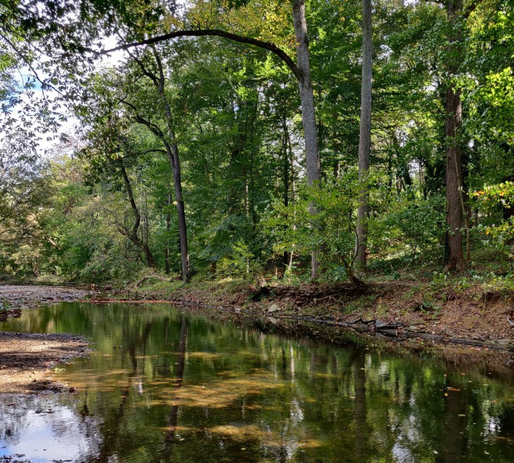 tookany-creek-park-photo